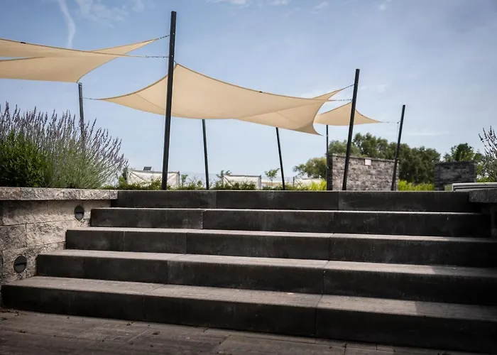 Napfeny 4*